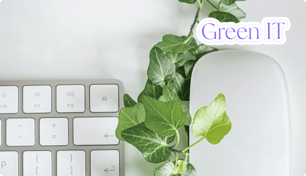 The Green IT Guide for Best Practices