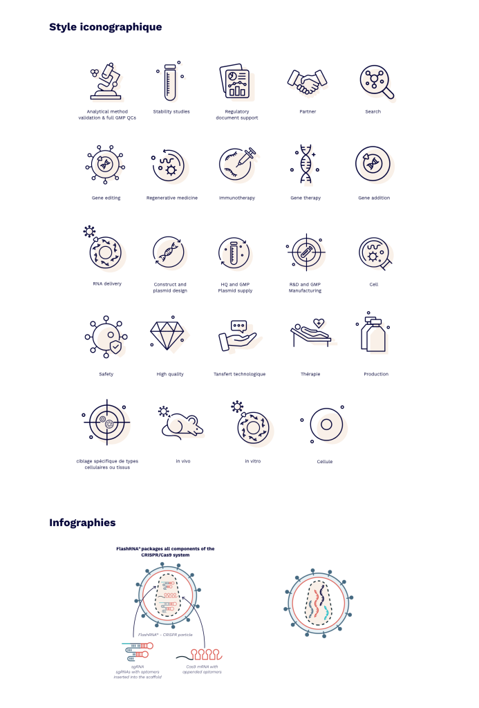 Iconography and graphic universes