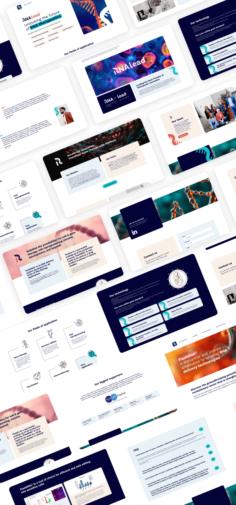 Different screens of the RNAlead website